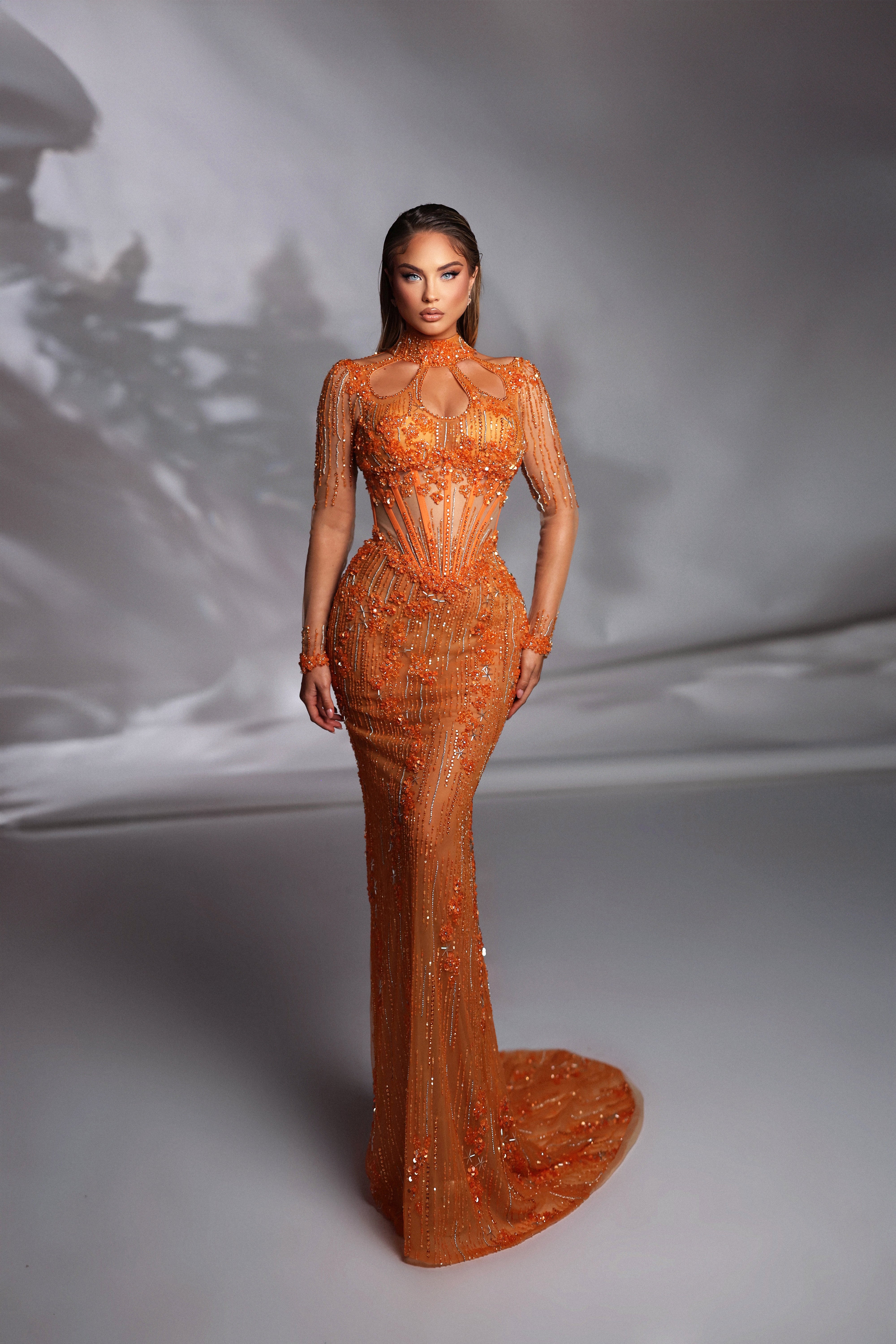 Royal Elegance Tulle Sleeve Gown Royal Elegance Tulle Sleeve Gown