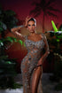 Silver Embellished Dress