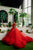 Royal Red Princess Ball Gown
